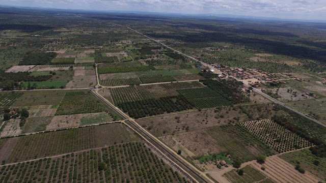 Vila Nova dos Irrigantes e Perímetro Irrigado