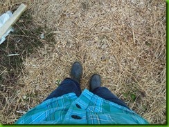 DSCN0665 DSCN0665