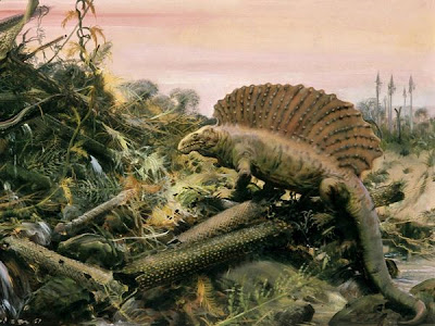 Dimetrodon