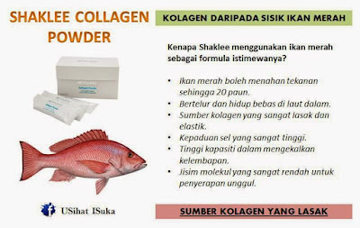 tip kulit gebu; kolagen shaklee; kolagen paling bagus; shaklee collagen plus powder; shaklee labuan; shaklee sabah; shaklee kudat; shaklee beaufort; shaklee sipitang; shaklee tawau; shaklee balik pulau; petua awet muda; petua kulit flawless; apa itu kolagen