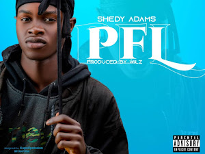 [Music] Shedy Adams - PFL (prod. Willzbeat) #Arewapublisize