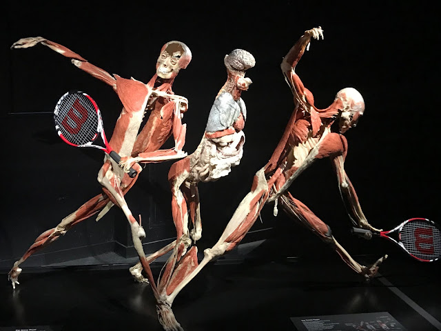 Body Worlds London