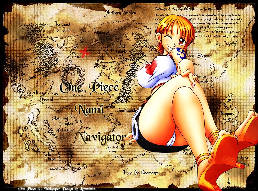 One Piece Nami Kleidung by dq 04