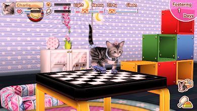 Game My Cat