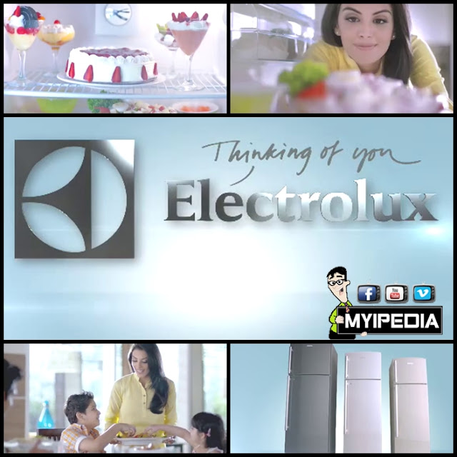 electrolux refrigrator