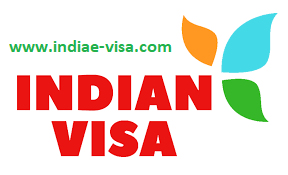 Indian e-Visa Application Process