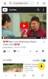 Cara Download Status Video WhatsApp Video Unlimited and Free