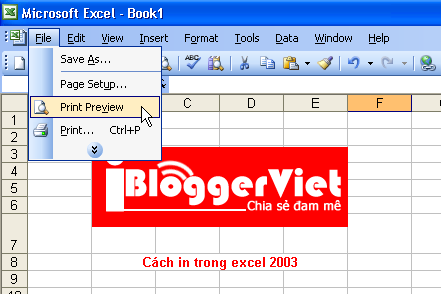 Định dạng trang in trong excel