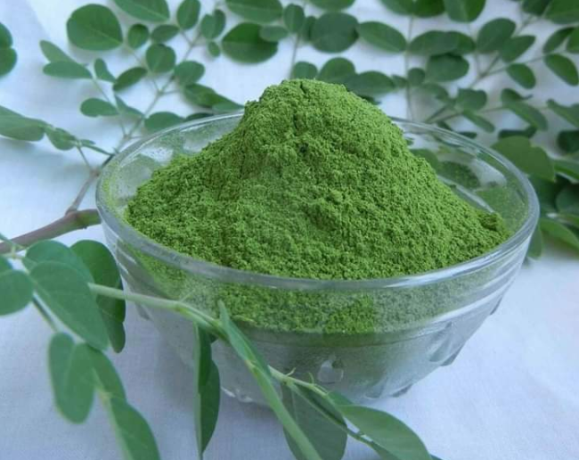 Moringa Miracle Super Food on Earth But Why Moringa has the status of super food?
