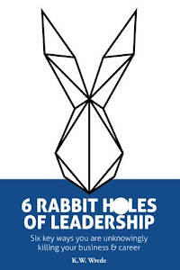 6 Rabbit Holes of Leadership: Six key ways you are unknowingly killing your business and career