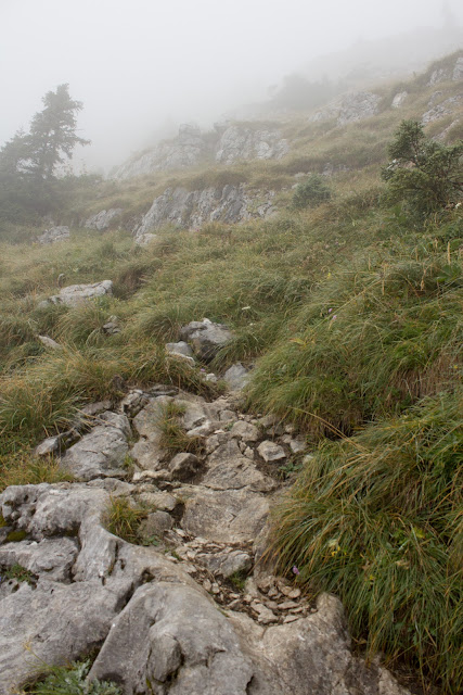 Wanderung von der Hintereggeralm bei Liezen zum Nazogl, Angerkogel und Kosennspitz. - Nebel Landschaft