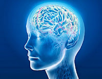 Combinación de Aricept y Namenda ayuda a frenar la tasa de disminución en los pacientes con Alzheimer