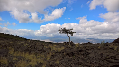 North slope of Mount Etna - surreal landscapes looking north. Lava, lone pines, and beautiful sky.