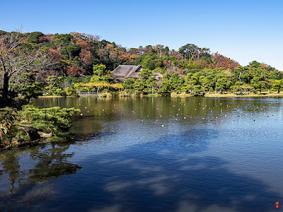 Kakushokaku palace and pond in late autumn: Sankei-en (Yokohama)