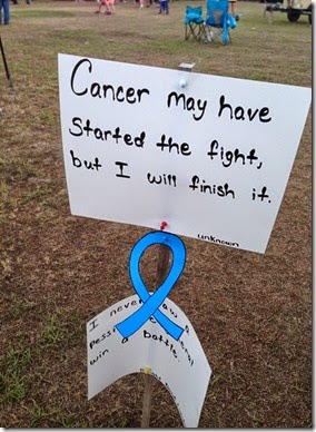 Relay for Life 2014 (8)