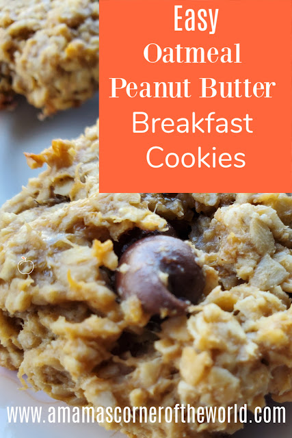 Pinnable Image for a Recipe for Oatmeal Peanut Butter Breakfast Cookies