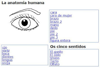 Colorear partes del cuerpo humano y los cinco sentidos