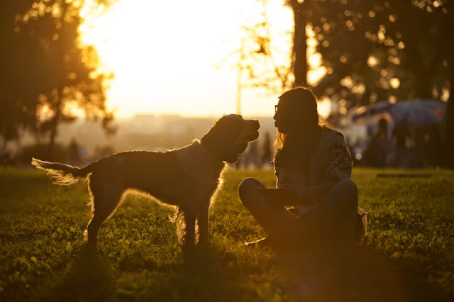 Science on whether our dogs love us, like this happy dog and girl at sunset