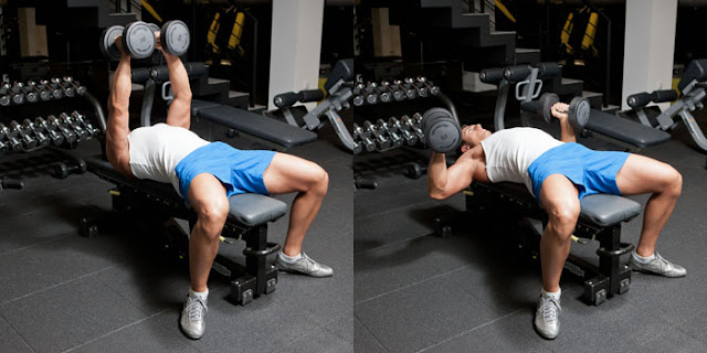 Best Chest Exercises of All Time - 30 Exercise - Dumbbell Bench Press