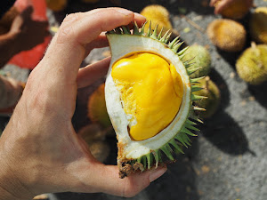5 Buah yang Punya Fisik Mirip Durian, Rata-rata dari Kalimantan