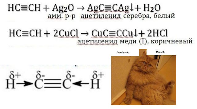 репетитор для ЕГЭ