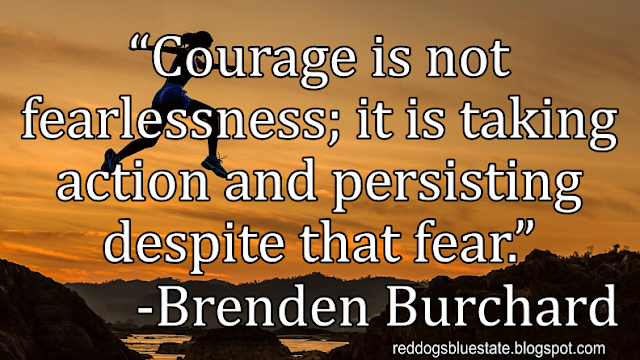 “Courage is not fearlessness; it is taking action and persisting despite that fear.” -Brenden Burchard