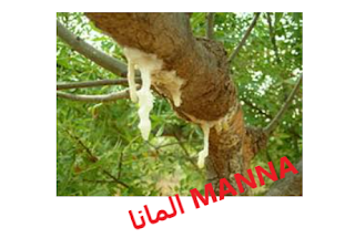 MANNA المانا