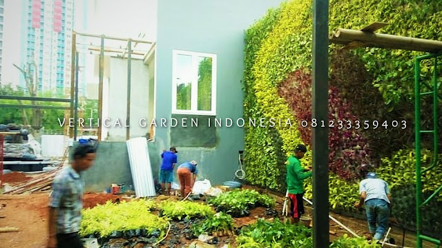 VERTICAL GARDEN INDONESIA SPESIALIS JASA PEMBUATAN VERTICAL GARDEN DI MAGELANG JAWA TENGAH DAN DI SELURUH WILAYAH JAWA TENGAH DENGAN TENAGA YANG PROFESIONAL DAN DAPAT DI PERCAYA YANG SELALU MENGUTAMAKAN SEBUAH MUTU DAN KUALITAS PEMASANGAN VERTICAL GARDEN/TAMAN DINDING, JASA TUKANG TAMAN VERTICAL MAGELANG JAWA TENGAH, JASA VERTICAL GARDEN MAGELANG JAWA TENGAH