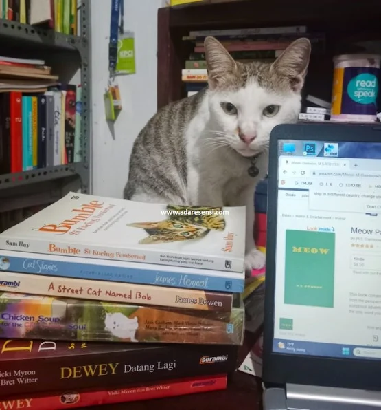 Buku-buku tentang kucing