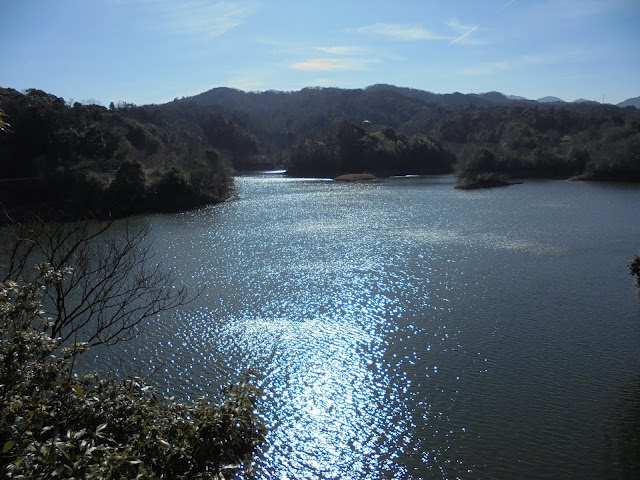 緑水湖の風景