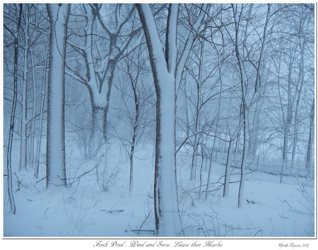 Fresh Pond: Wind and Snow. Leave their Marks.