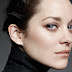 Marion Cotillard Hot Hd Wallpaper(55+) : Hot Hd Wallpaper