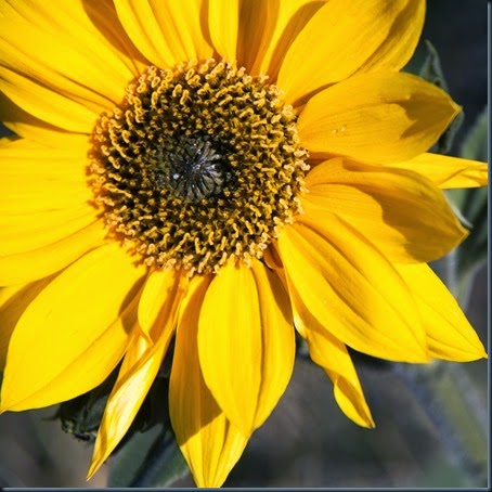 _MG_0008web