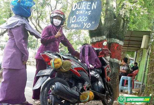 jual durian di kudus