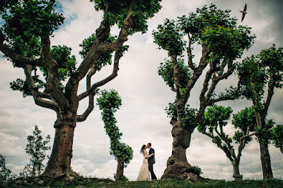 Fotografía de boda