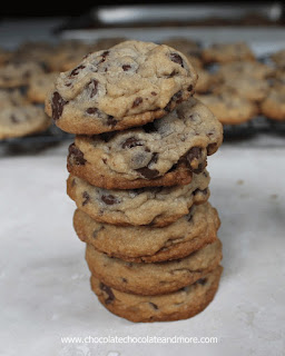 http://chocolatechocolateandmore.com/overnight-chocolate-chip-cookies/