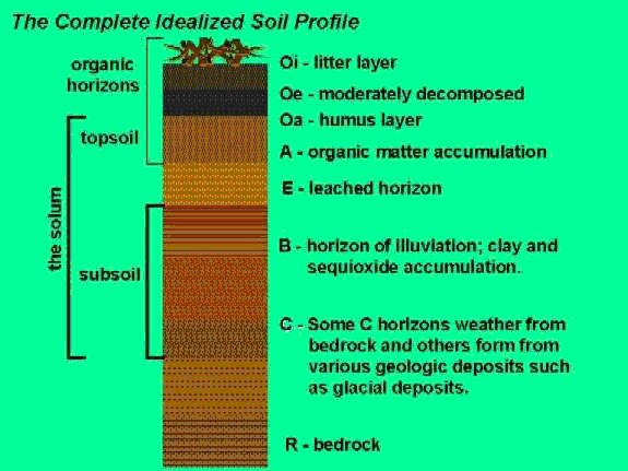 soil+horizons+02