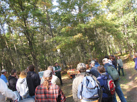 Sterling Marsh boardwalk opening