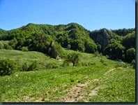 DSCN9177