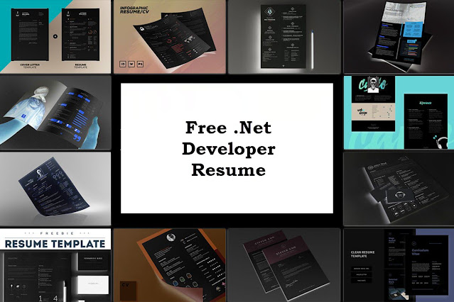 Free .Net Developer Resume