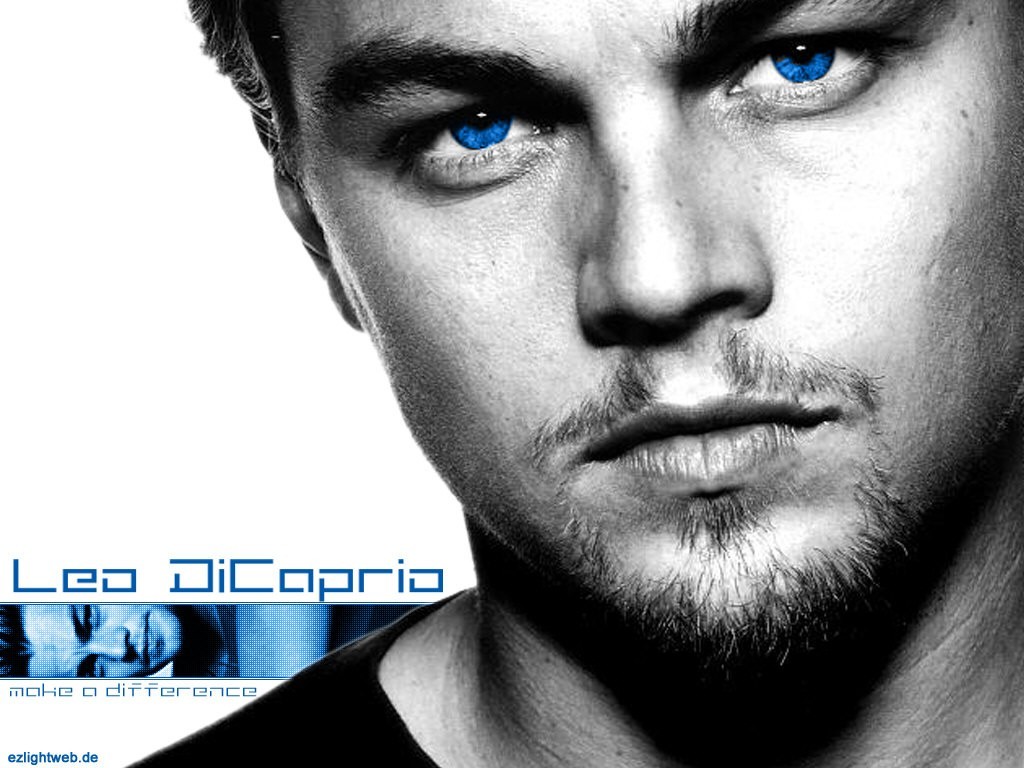 Leonardo - Gallery Photo