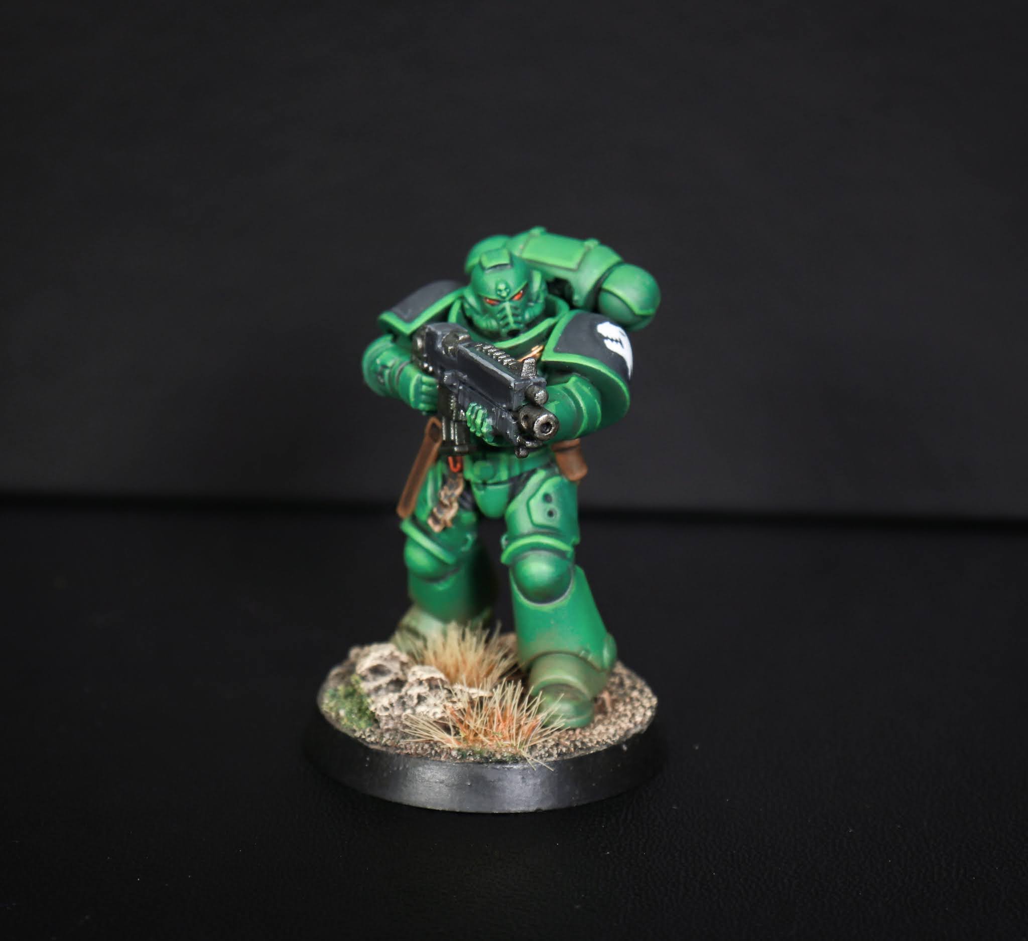 Salamanders Intercessor