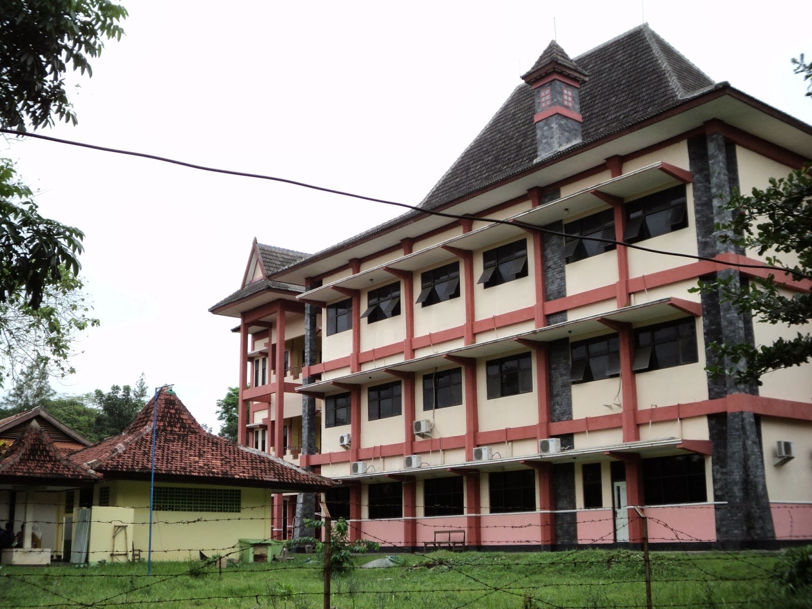 My Faculty