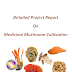 Project Report on Medicinal Mushroom Cultivation