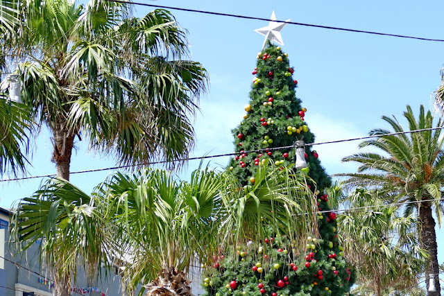 Manly, Corso, Shopping, Einkaufen, Palmen, Fussgängerzone, Weihnachtlich, Weihnachtsbaum