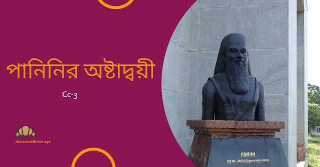 পানিনির অষ্টাদ্বয়ী সম্পর্কে সংক্ষিপ্ত আলোচনা কর