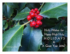 Happy Holidays 2014 Card