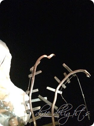 IMG_0972 IMG_0972