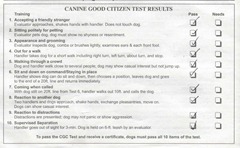 CGC paperwork