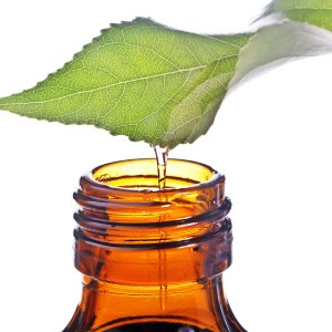 Essential Oils Suppliers